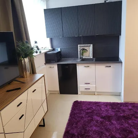 公寓 Mazurskie 3 *